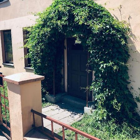 Apartamentai Klaipedos Senamiestyje Klaipėda Dış mekan fotoğraf
