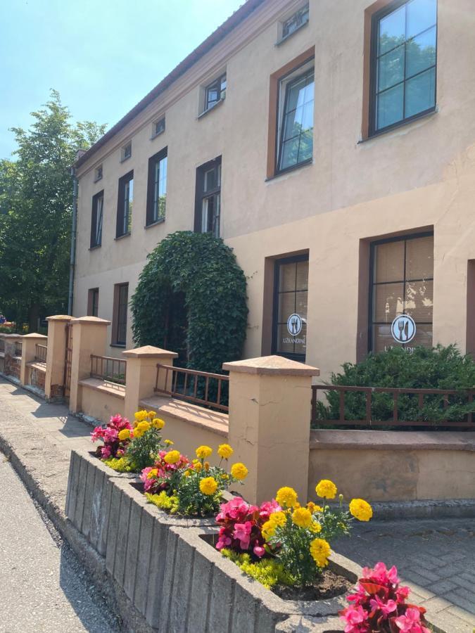 Apartamentai Klaipedos Senamiestyje Klaipėda Dış mekan fotoğraf